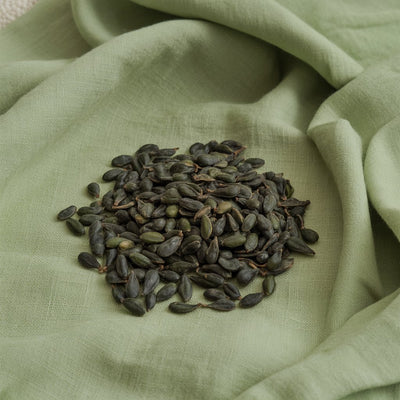 Bakuchiol Extract